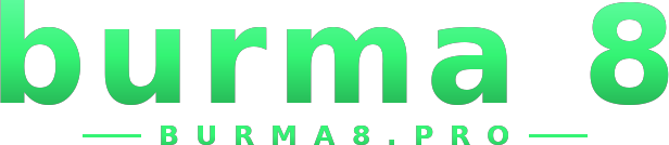 burma 8 logo